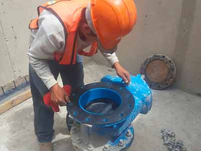 Proyectos