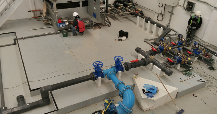 lorem ipsum dolor sit