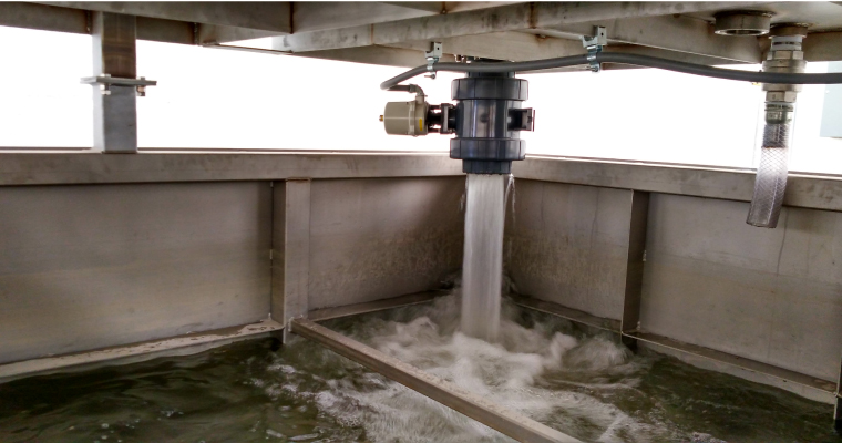 lorem ipsum dolor sit