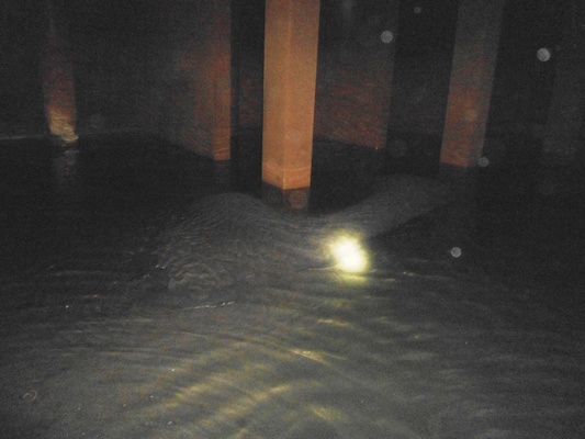 lorem ipsum dolor sit