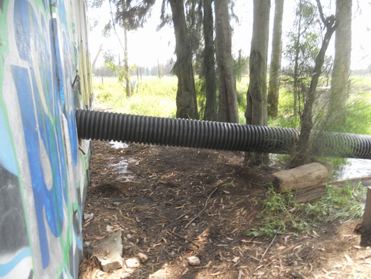 lorem ipsum dolor sit