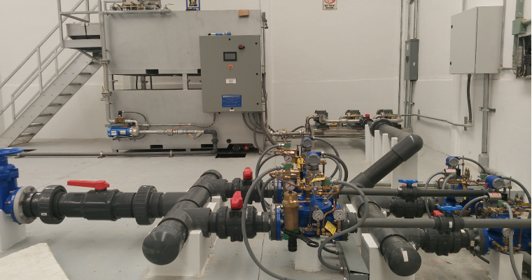 lorem ipsum dolor sit