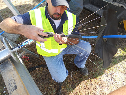 lorem ipsum dolor sit